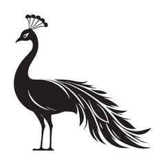 Poised Majesty of a Peacock silhouette – Peacock illustration – Minimalist Peacock vector – Bird silhouette – Bird vector

