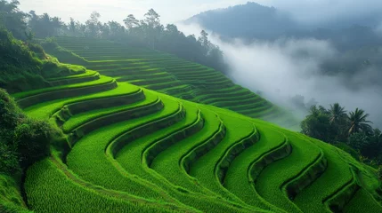 Selbstklebende Fototapeten Lush green terraced rice paddies, mist-shrouded mountain landscape © RONNY