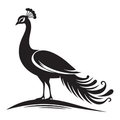 Vibrant Elegance Peacock silhouette design – Peacock illustration – Minimalist Peacock vector – Bird silhouette – Bird vector

