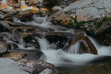 A waterfall is in a forest, surrounded by trees and rocks