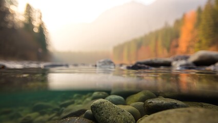 Over-Under View of Serene Autumn River with Underwater Stones and Misty Forest Landscape