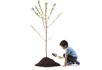 Kid kneeling and planting a tree