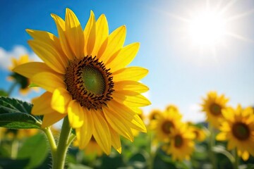 A vibrant sunflower basking in the warm glow of sunlight, its petals unfurling in a radiant display of nature's beauty The golden hues contrast beautifully against the deep blue sky , day, sun