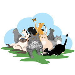 The composition is a group of different cute cats on the grass, isolated on a white background.Vector illustration for textiles, children's books, postcards.
