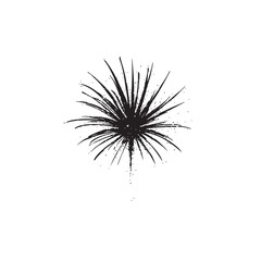Fototapeta premium Black silhouette of Firecracker, centered on plain white background, American Independence day theme, symbol, 4th july