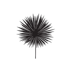 Black silhouette of Firecracker, centered on plain white background, American Independence day theme, symbol, 4th july