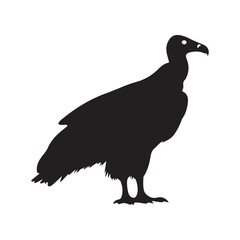 Vulture silhouette vector illustration bird animal scavenger wildlife