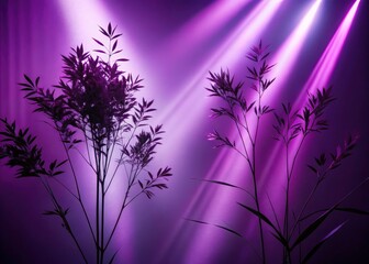 Purple Minimalist Plant Silhouettes Abstract Light Beams Photography