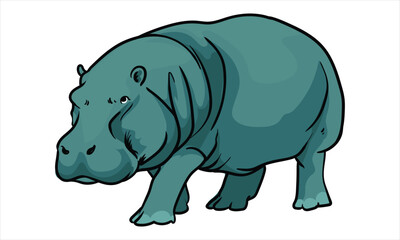 african hippopotamus on white background separately