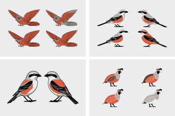 A set of black vector bird and animal silhouettes flying, illustrating wild nature's design