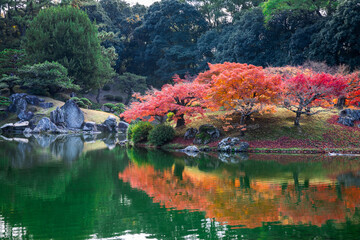 Breathtaking view of Ritsurin Park in Takamatsu, during autumn season. Traditional Japanese garden with vivid maple trees in red and orange, calm reflective ponds