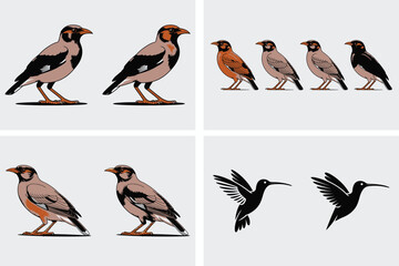 A cute cartoon vector illustration of a set of birds on a spring branch, perfect for nature and wildlife designs