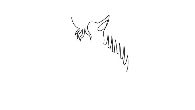 Horse 2026 year one line art animation, hand drawn continuous contour drawing motion. Holiday equine concept, festive New year chinese astrological horoscope, odd-toed ungulate maned hoss outline vide