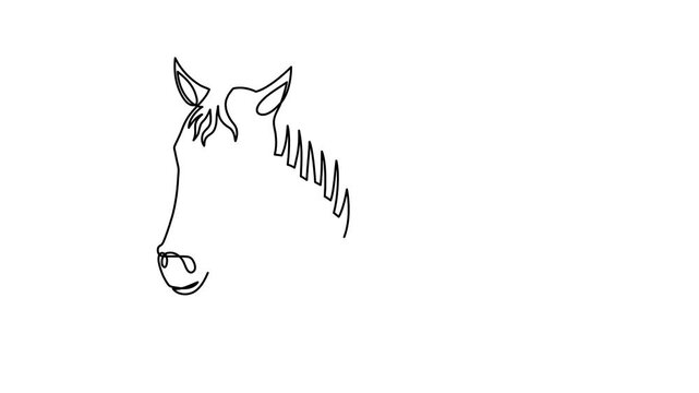 Horse 2026 year one line art animation, hand drawn continuous contour drawing motion. Holiday equine concept, festive New year chinese astrological horoscope, odd-toed ungulate maned hoss outline vide