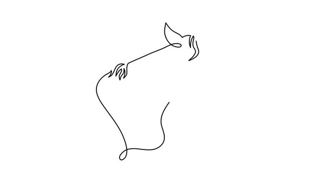 Horse 2026 year one line art animation, hand drawn continuous contour drawing motion. Holiday equine concept, festive New year chinese astrological horoscope, odd-toed ungulate maned hoss outline vide