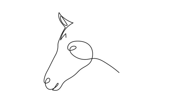 Horse 2026 year one line art animation, hand drawn continuous contour drawing motion. Holiday equine concept, festive New year chinese astrological horoscope, odd-toed ungulate maned hoss outline vide
