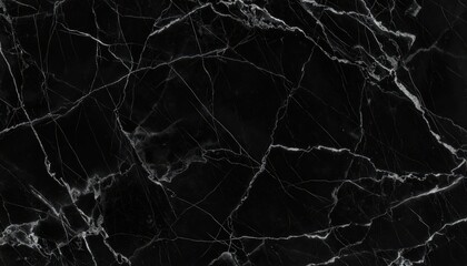 Elegant black marble texture with intricate white vein patterns