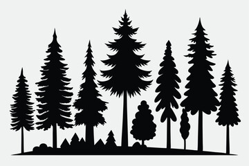 Fototapeta premium Majestic silhouette of evergreen trees in a forest