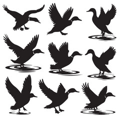 Silhouettes of Ducks Swimming on Water, Duck Silhouettes in Various Poses, Cute Cartoon Ducks Illustration Set Black and White