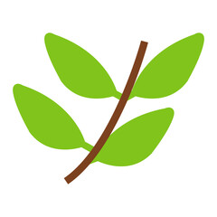branch with green leaves