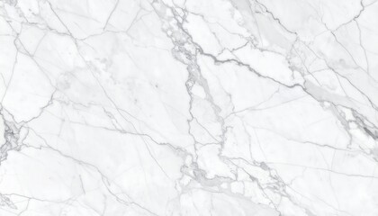 Obraz premium Elegant white marble texture with intricate gray veining and subtle variations