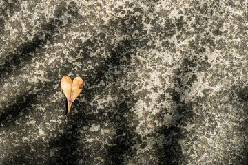Heart-shaped dried leaf on textured stone surface with sunlight shadows, top-down view