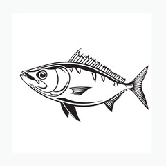 fish on a white background