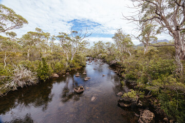 Narcissus River in Tasmania Australia