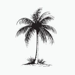 palm tree silhouette