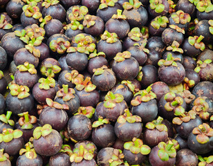 Mangosteen, the queen of ready for sale at the market