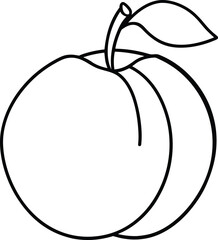 A Apricot Outline Vector Illustration.