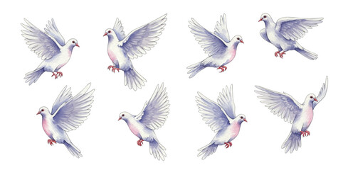 Obraz premium Adobe Illustrator Artwork