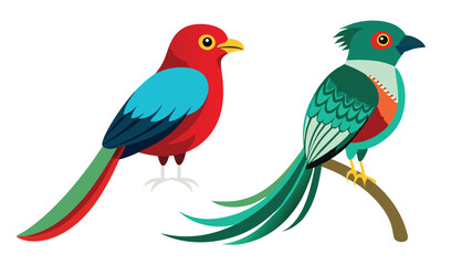 Obraz premium Two Colorful Tropical Birds Illustration of a Red Bird and Quetzal Bird