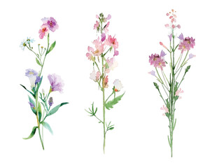 Naklejka premium Adobe Illustrator Artwork