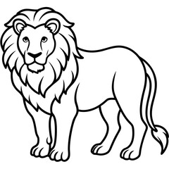 Obraz premium African Lion line art vector