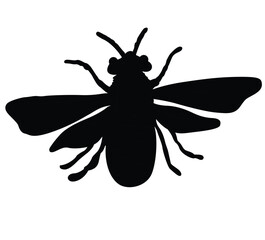 Cute cartoon hand drawn vector honey bee or wasp silhouette. 