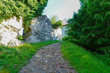 Beautiful deep mountain forest nature landscape in morning light and shadows from trees on vivid green grass and bare stone rocks.
