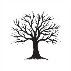 Obraz premium Black Leafless Tree Silhouette 