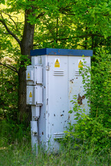 weathered railway electrical cabinet standing near the tracks, partially hidden among dense trees...