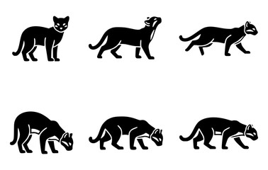 Black Ocelot illustrations in different poses, showcasing the animal in various actions