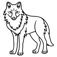 Illustration of a standing wolf with detailed fur and a focused expression look on transparent background
