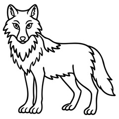 Illustration of a standing wolf with detailed fur outline in black and white on transparent background
