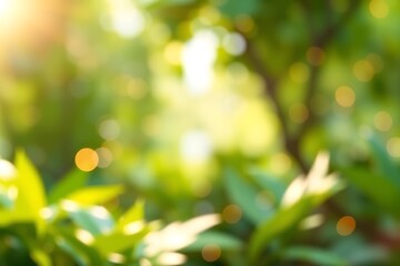 Abstract green blurred nature background with soft bokeh and sunlight. Perfect for eco, wellness, spring, Earth Day, and environmental sustainability-themed creative design projects.