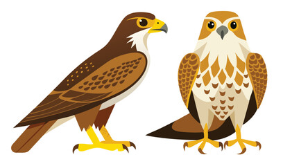 Fototapeta premium Two brown and gold hawks bird illustration