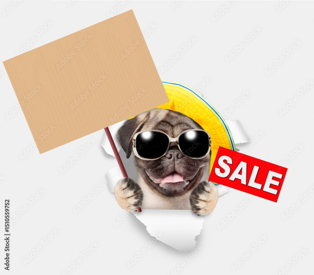 Poster funny pug puppy wearing summer hat and sunglasses looking through the hole in white paper and showin