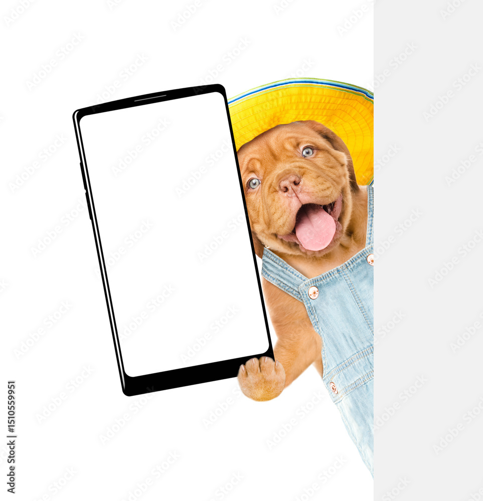 Poster happy mastiff puppy wearing summer hat and denim overalls shows big smartphone with blank screen beh