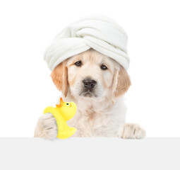 Cute golden retriever puppy with towel on it head looking above blank white banner and holding rubber duck. isolated on white background
