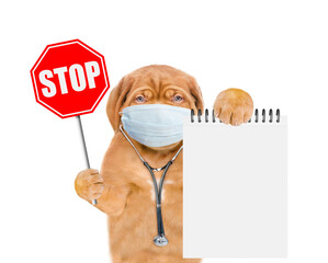 Mastiff puppy dressed like a doctor with protective mask and  stethoscope  holds blank notebook and shows stop sign. Isolated on white background