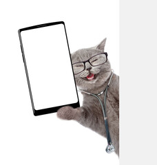 Smiling cat wearing like a doctor with stethoscope on his neck showing big smartphone with blank screen in it paw from behind blank white banner. Empty space for text. isolated on white background