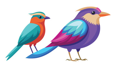 Two colorful birds illustration vibrant feathers tropical